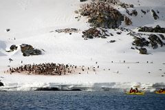 09D Kayakers With Penguin Colony On The Coast Of Cuverville Island On Quark Expeditions Antarctica Cruise.jpg